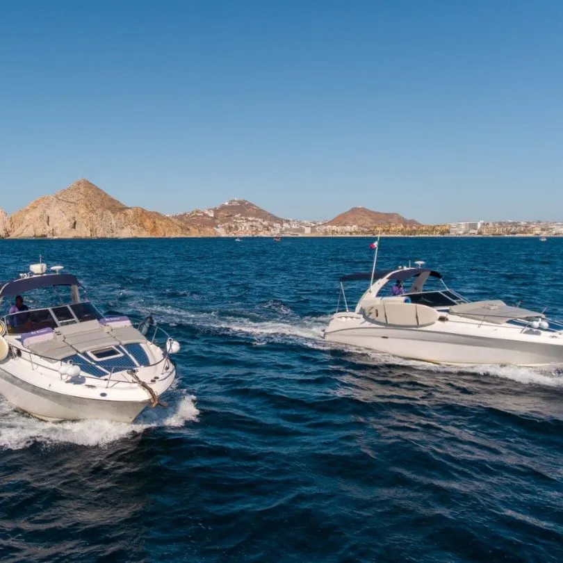 Renta de yates los Cabos San Lucas : Yacht Rental Cabos san lucas6