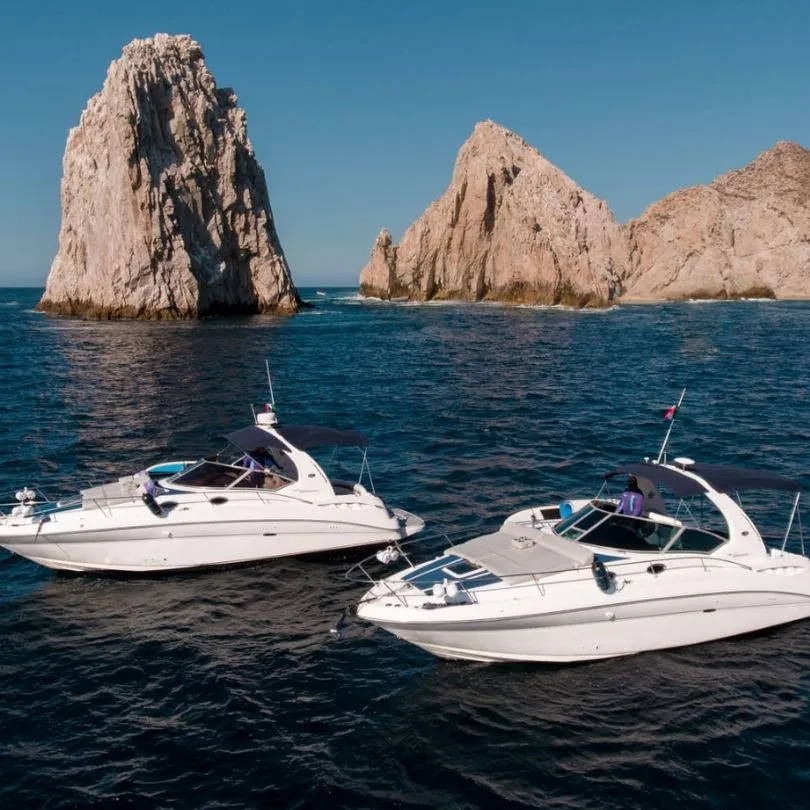 Renta de yates los Cabos San Lucas : Yacht Rental Cabos san lucas7