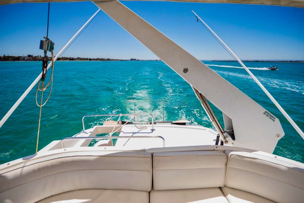 Swimming-with-Whale-Sharks_Cabo-Yacht-Services-1024×684