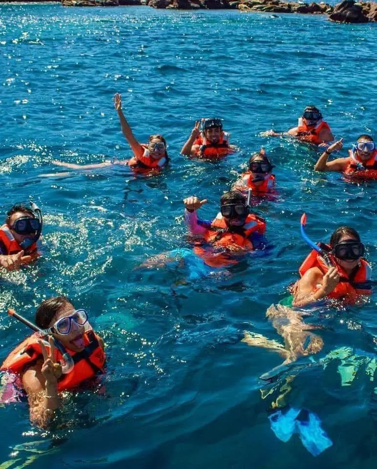 ed4d433f-073c-4e78-9636-0877de68fe6b