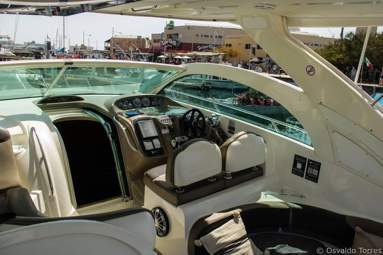 WhatsApp-Image-2026-02-02-at-1.35.55-PM-_2_