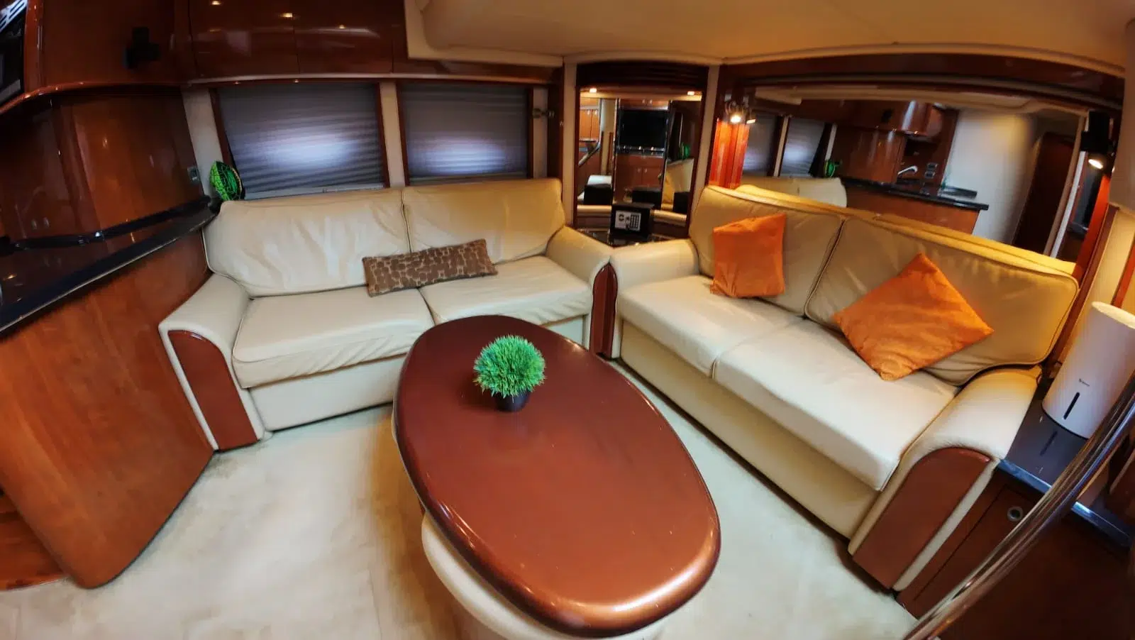 WhatsApp Image 2026-03-01 at 12.09.00 PM (3)