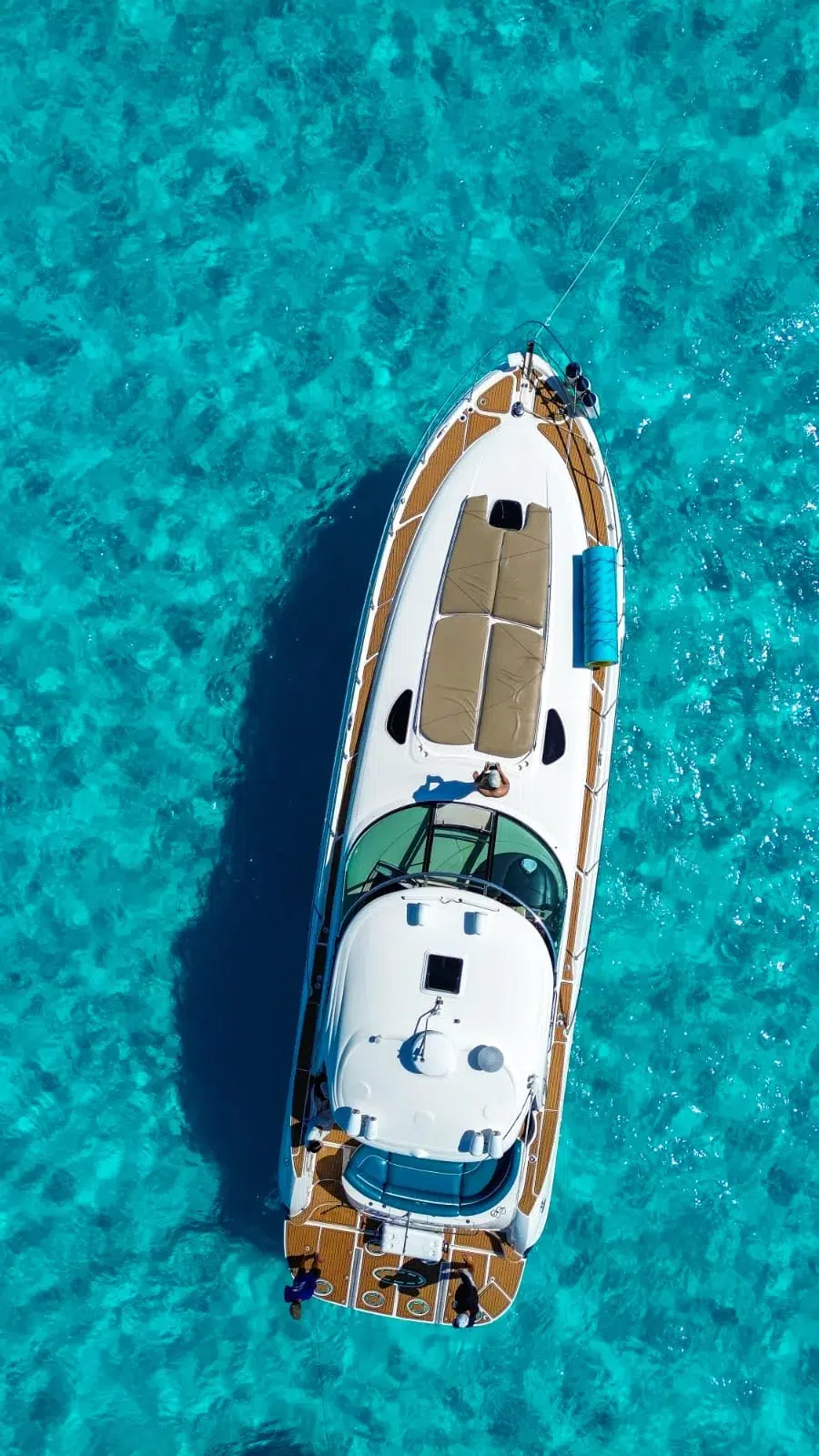 WhatsApp Image 2026-03-01 at 12.09.02 PM (4)